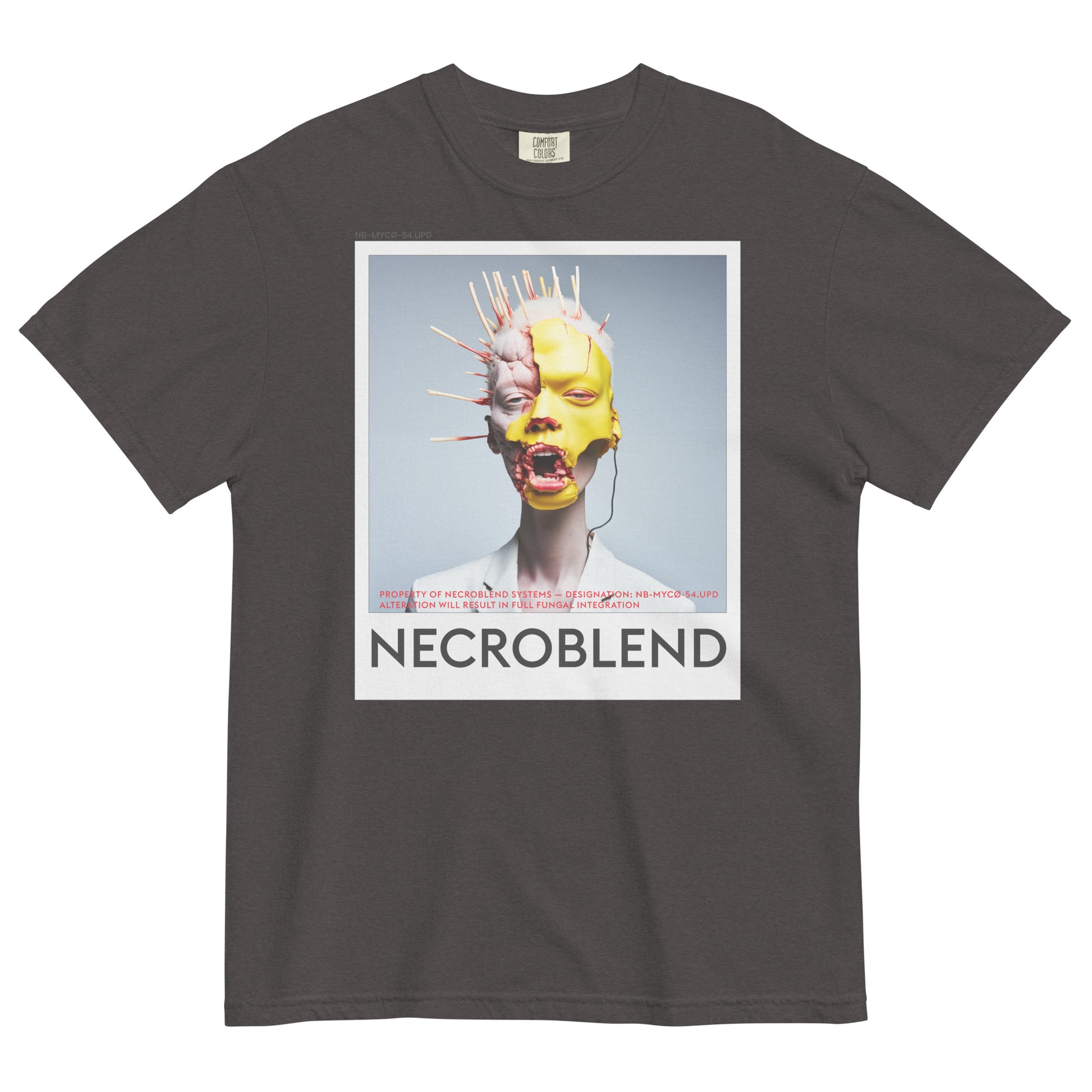 Heavyweight unisex sacred corruption tee by NECROBLEND — NB-MYCØ-54.UPD from Bio Prayers, front view in graphite.